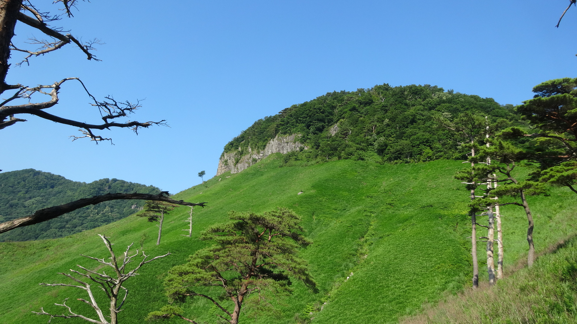 船上山で千丈のぞき